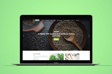 edmonton web design company