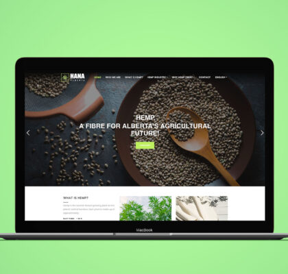 edmonton web design company