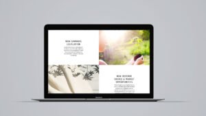 edmonton web design company