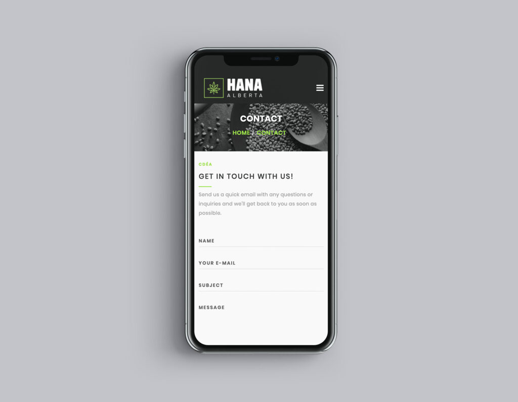 web design company Edmonton