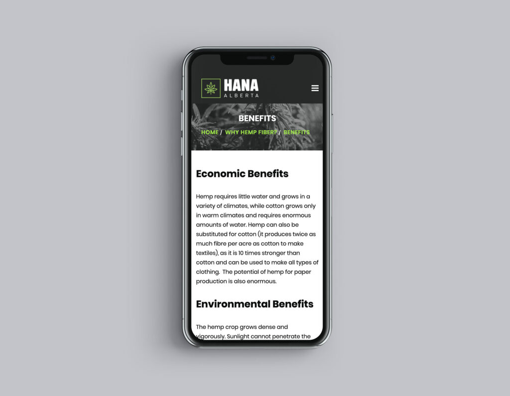 edmonton web design company