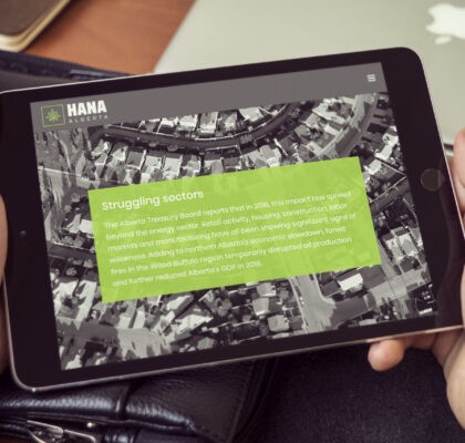 web design company Edmonton