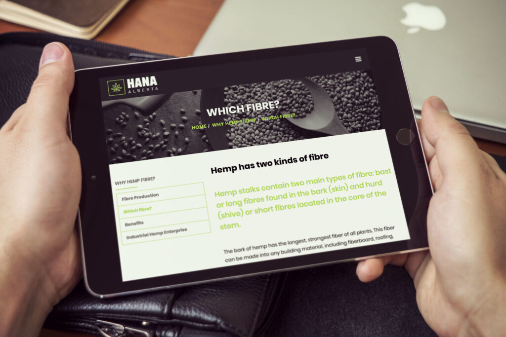 web design company Edmonton