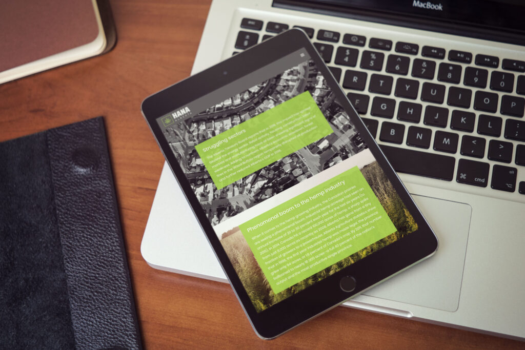 web design company Edmonton