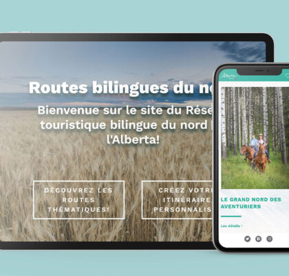 Website design and development Company edmonton