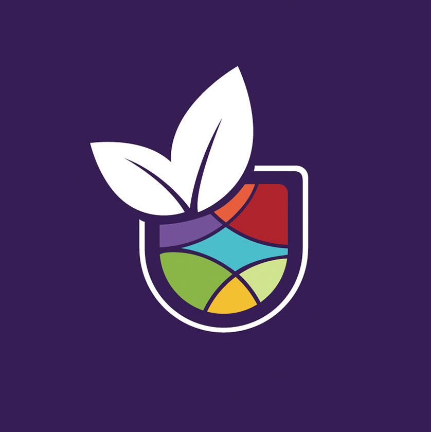 Branding design company edmonton