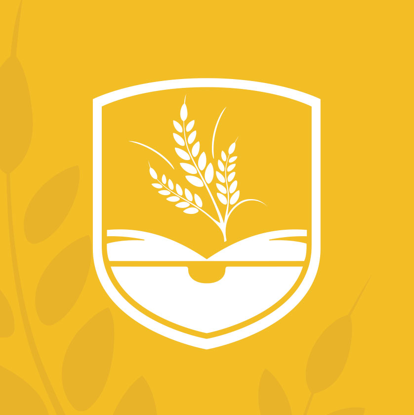 Branding design company edmonton