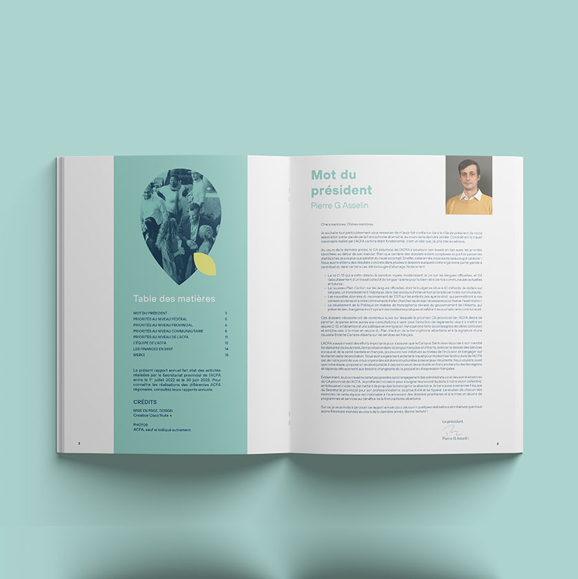 Website design and development Company edmonton