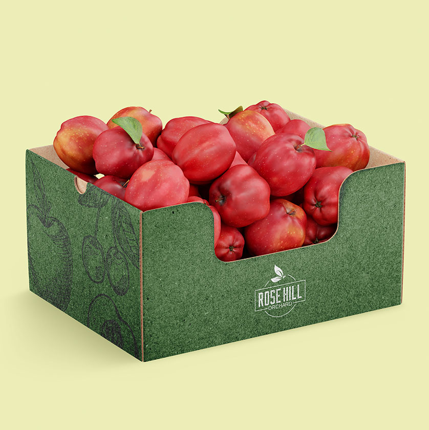 Packaging design company edmonton