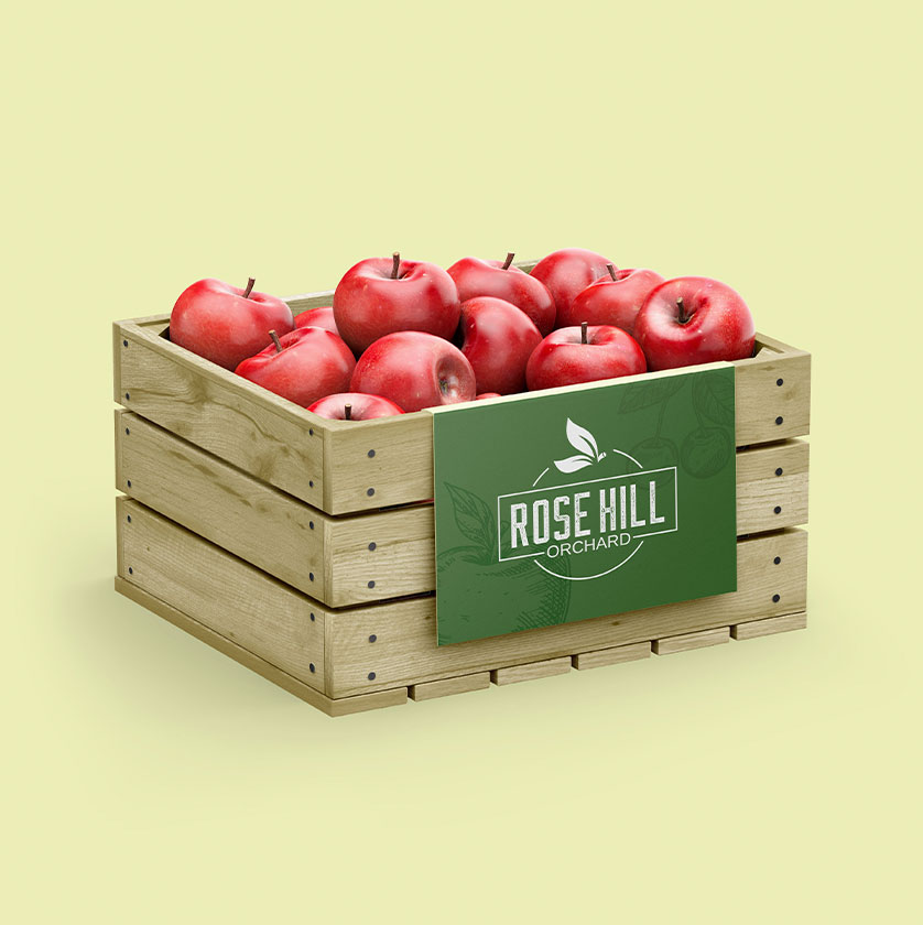 Packaging design company edmonton