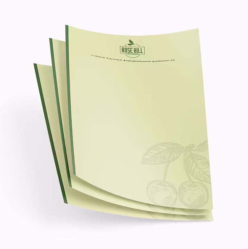 Website design and development Company edmonton