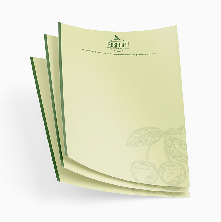 Website design and development Company edmonton