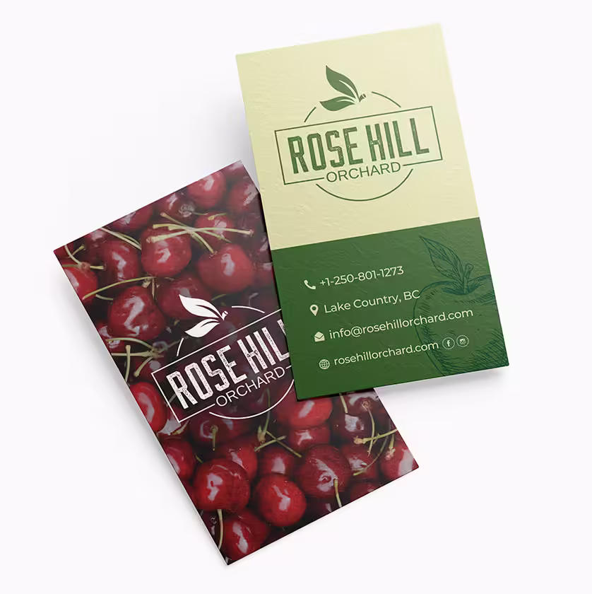 Website design and development Company edmonton