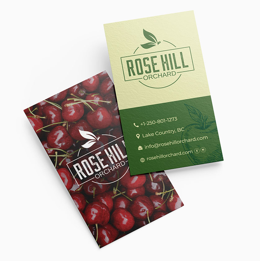 Website design and development Company edmonton