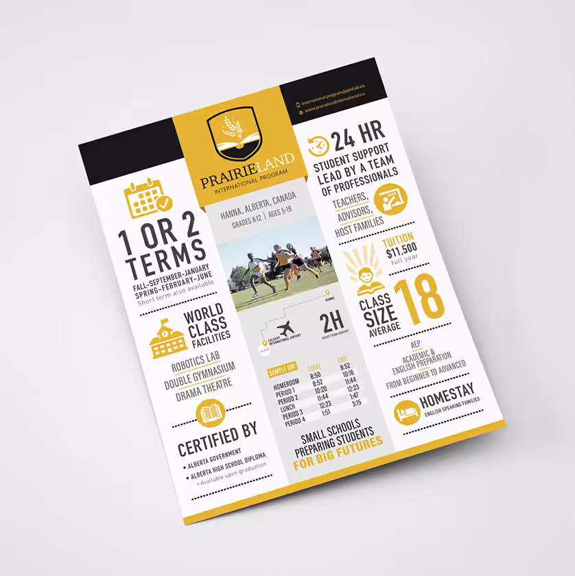 Website design development Company Edmonton