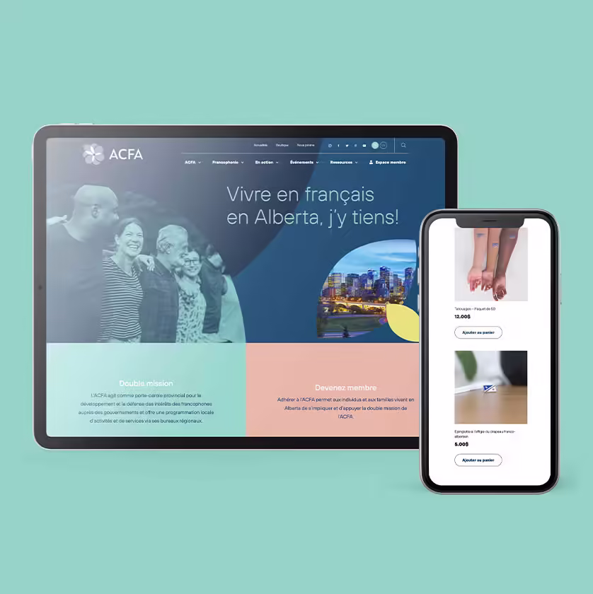 Website design and development Company edmonton