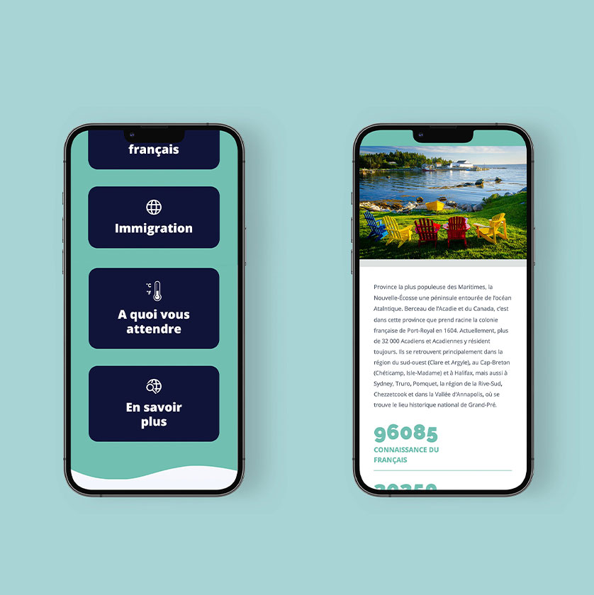 Website design development