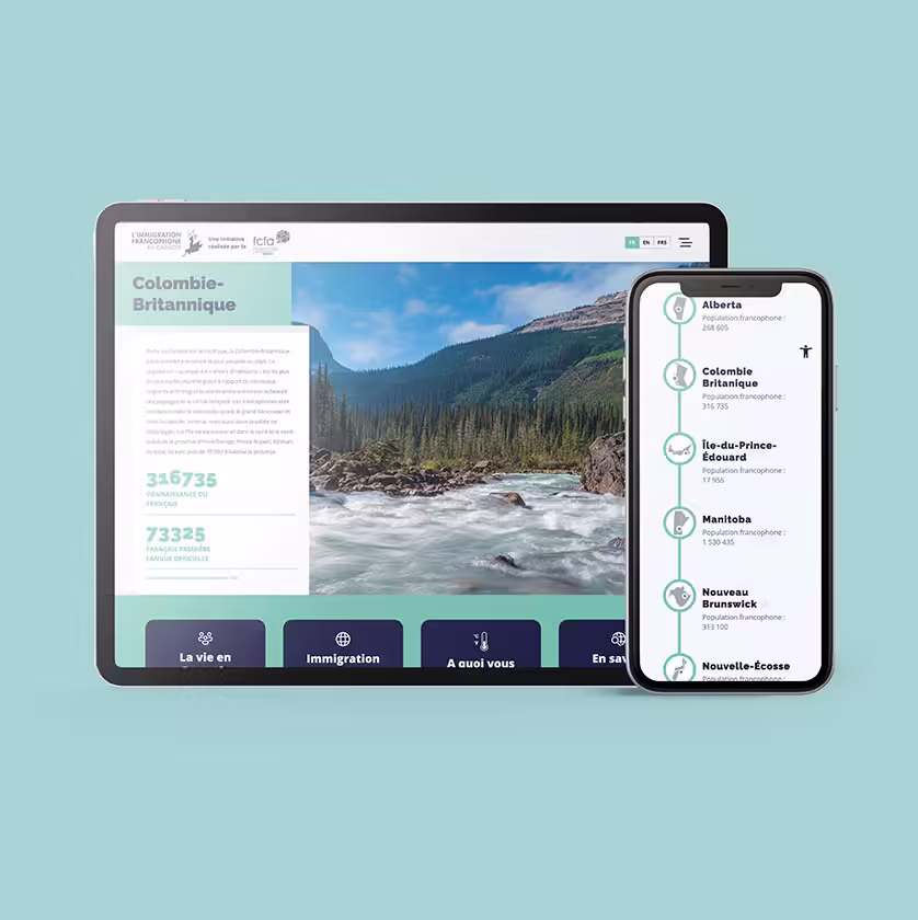 Website design development