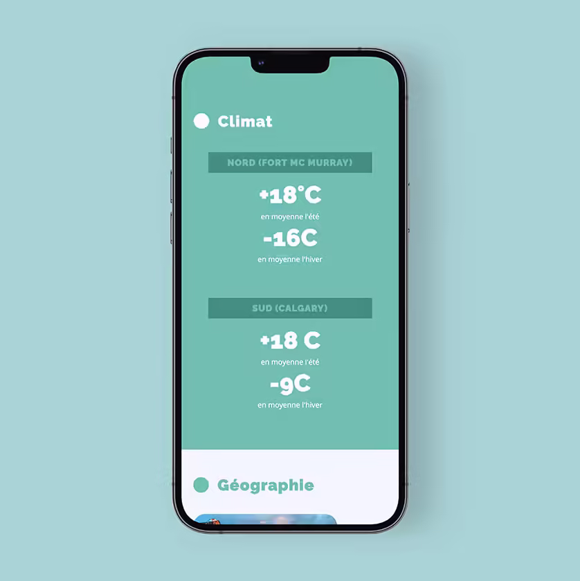 Website design development