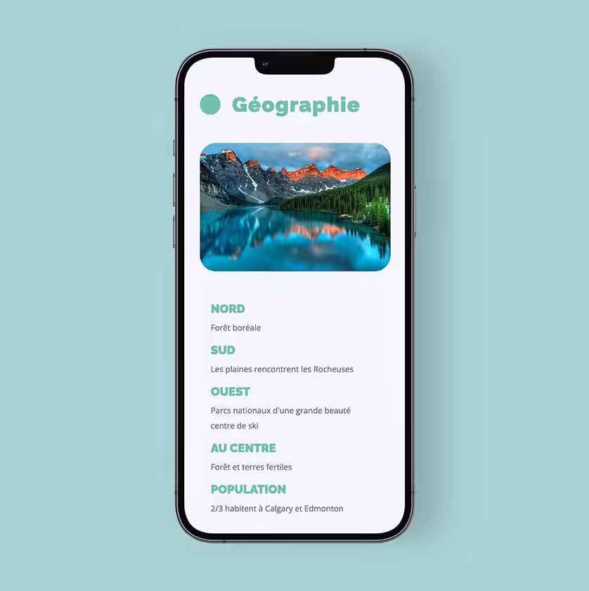 Website design development