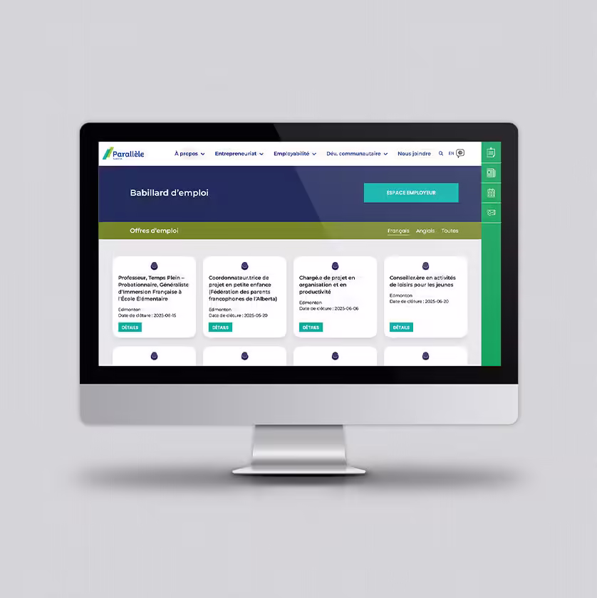 Website design development