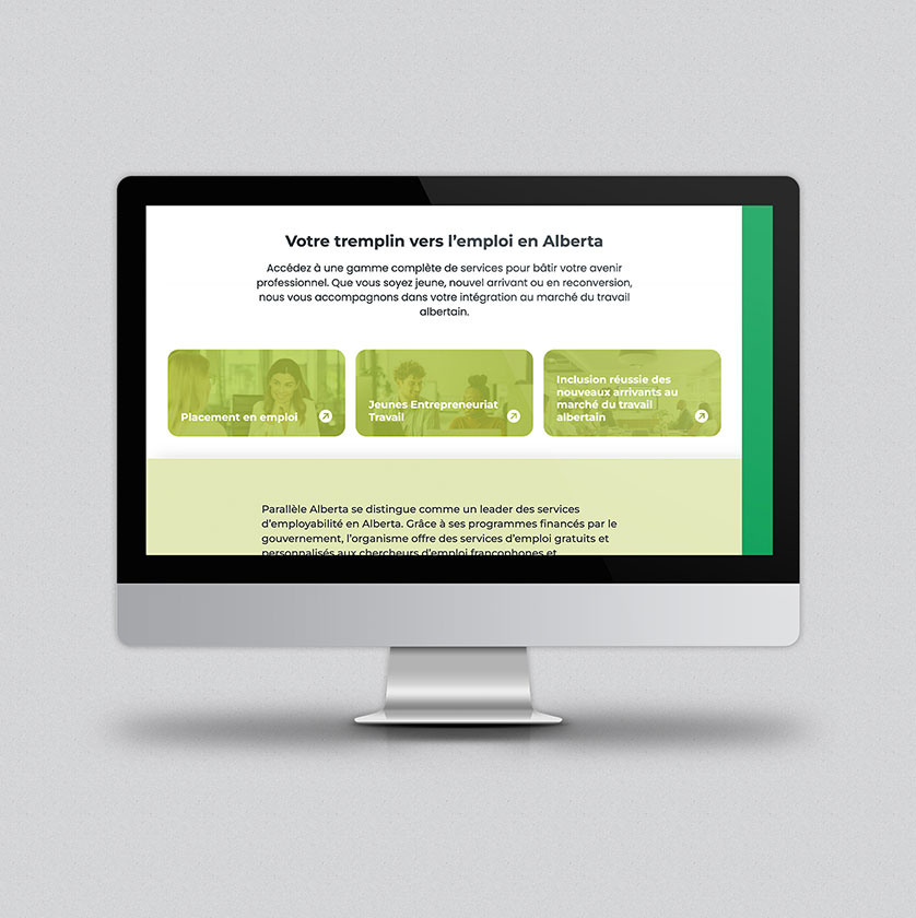 Website design development