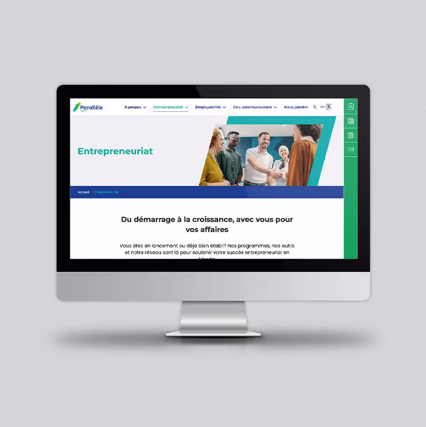 Website design development