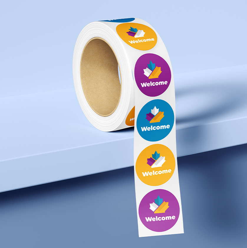 Website design development