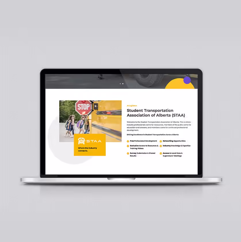 Website design development