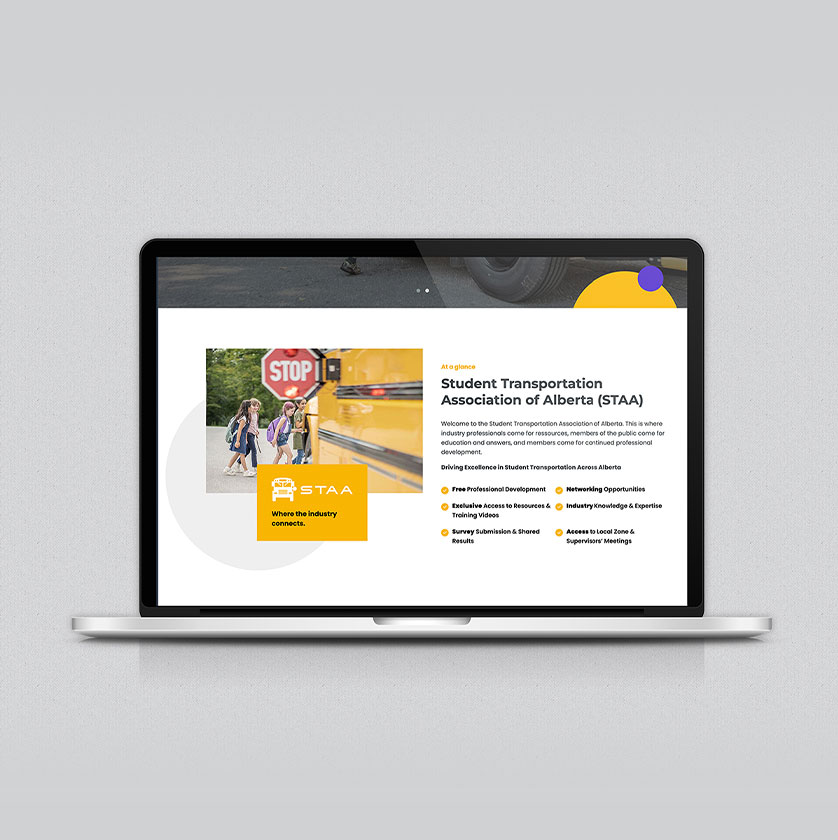 Website design development