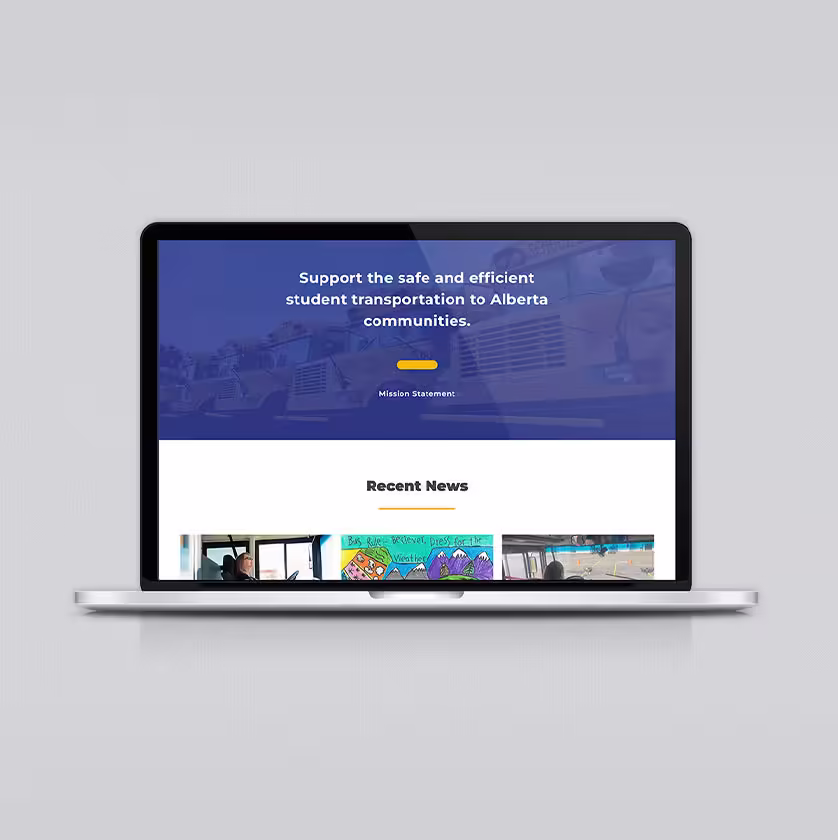 Website design development