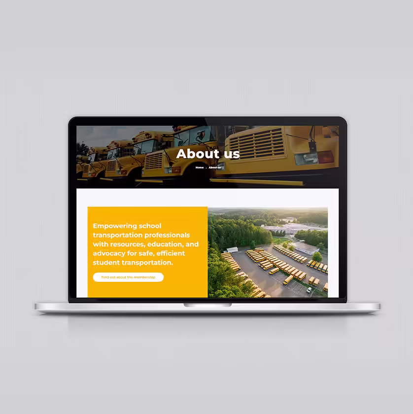 Website design development