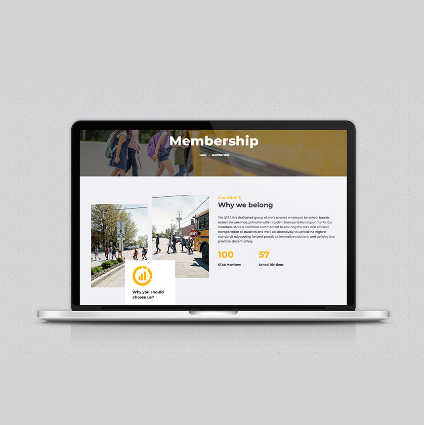 Website design development