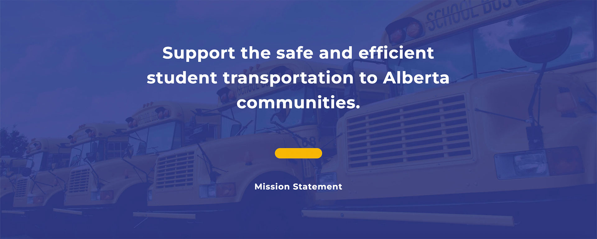 Website design development